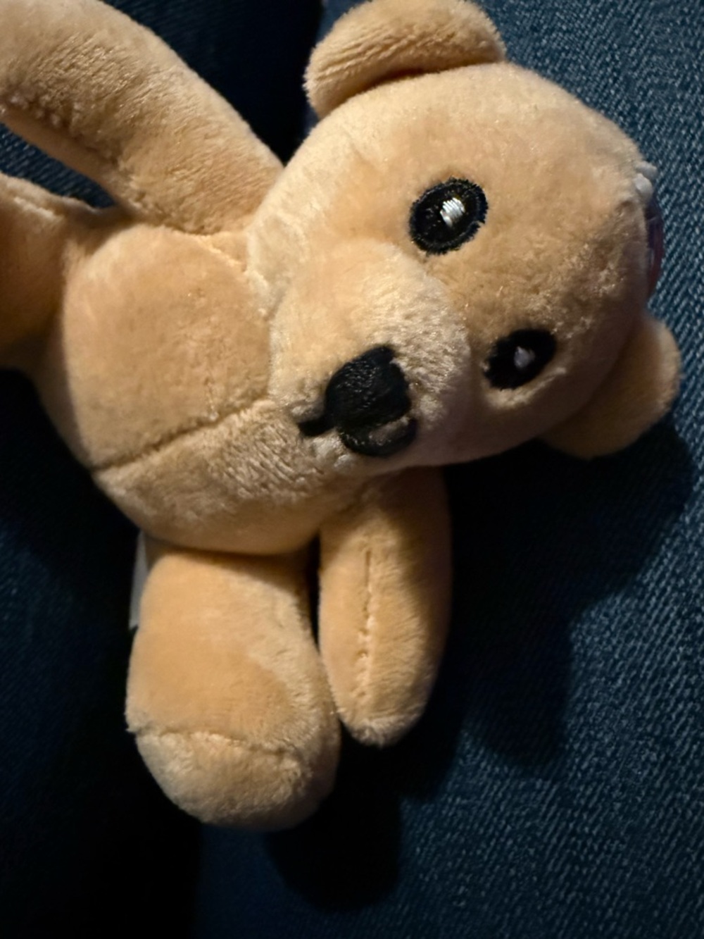 Plush Tan Teddy Bear Stuffed Animal